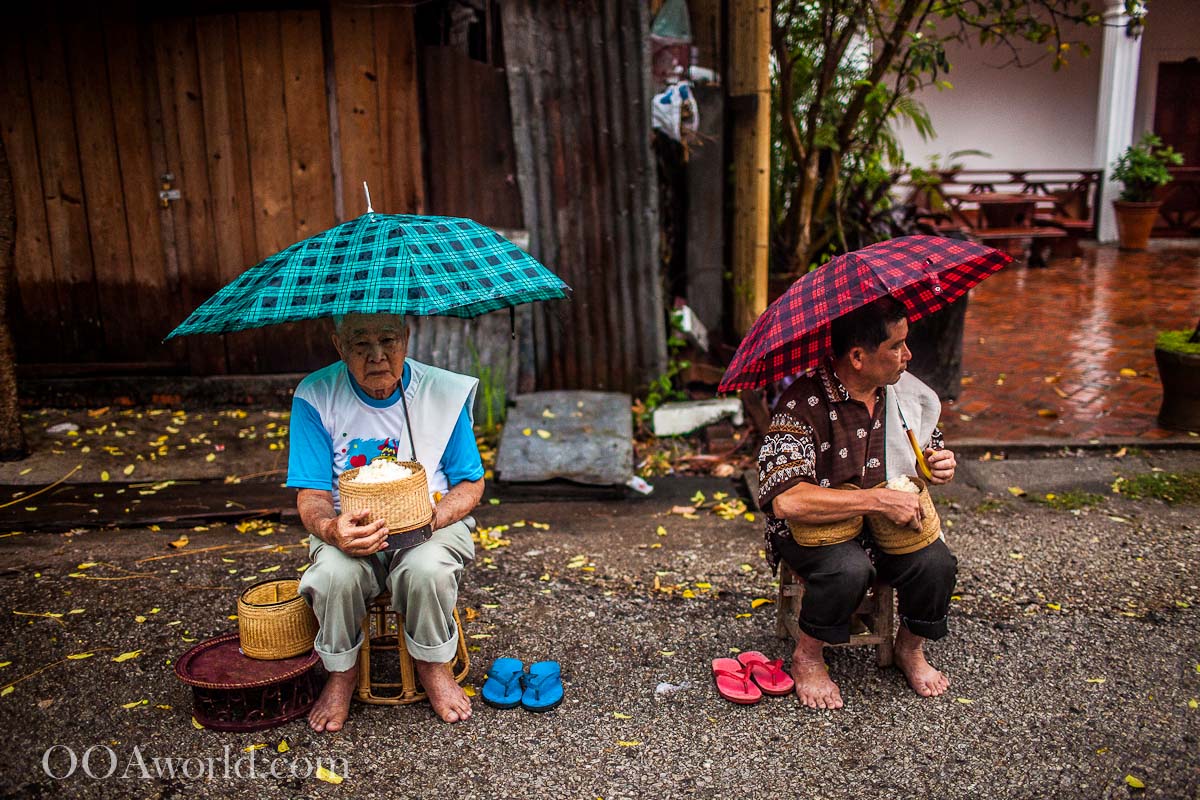 Feeding Monks Laos Photo Ooaworld