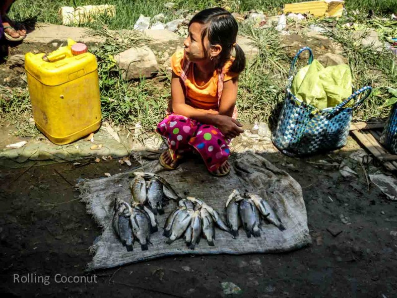 Child Selling Fish at Market, Inle Lake, Myanmar, ooaworld Rolling Coconut Photo Ooaworld