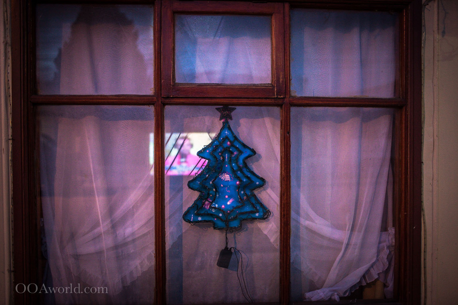 Puerto Natales Christmas Tree Photo Ooaworld