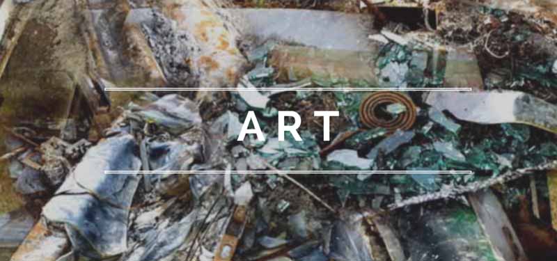 Art Logo ooaworld Rolling Coconut Photo Ooaworld