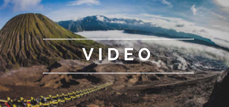 Video Logo ooaworld Rolling Coconut Photo Ooaworld