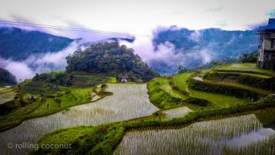 rice terraces banaue philippines