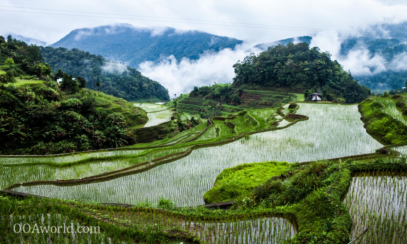 Banaue Rice Terraces Viewpoint Photo Ooaworld