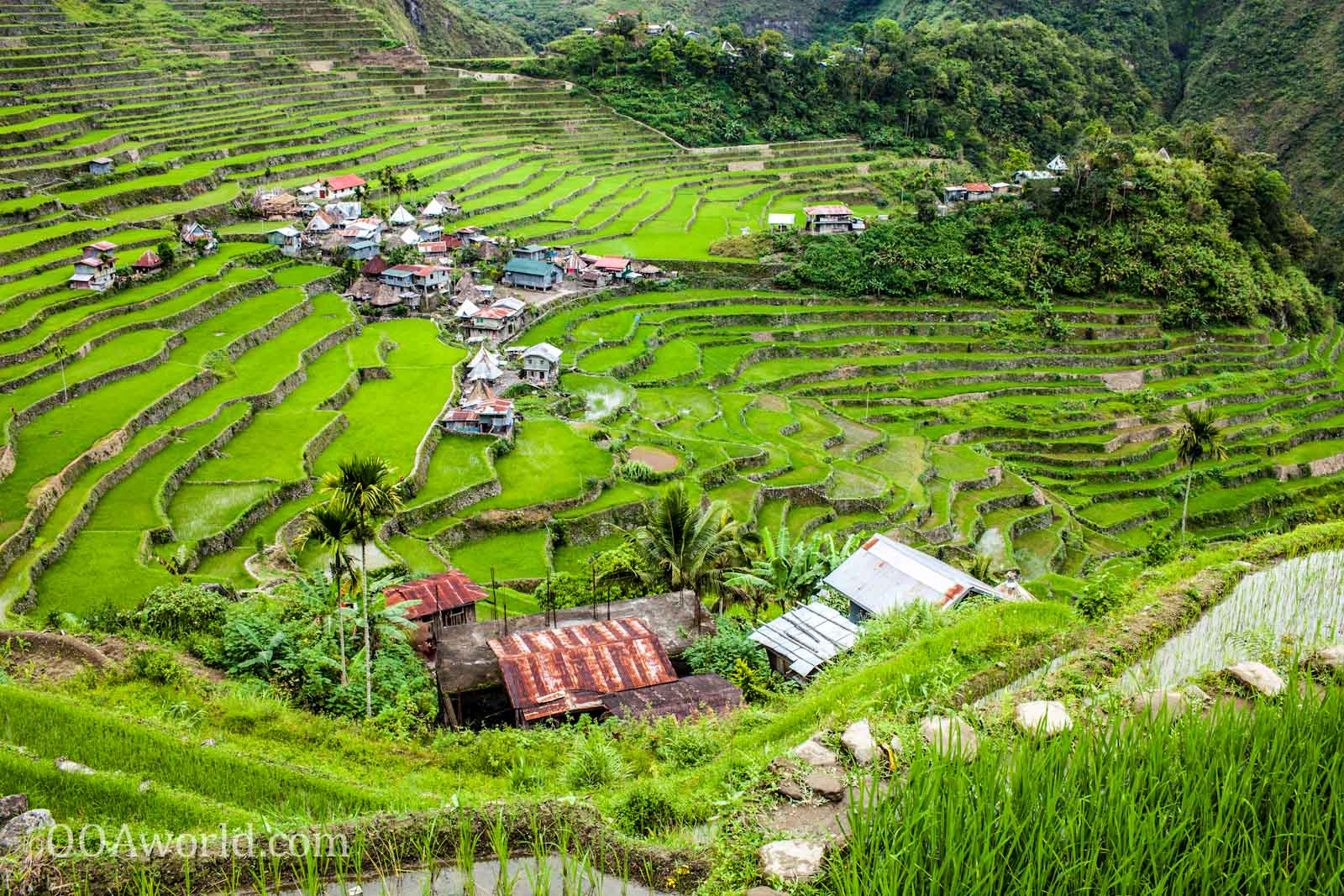 Batad Rice Terraces Viewpoint Photo Ooaworld