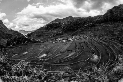 Banaue Rice Terrace