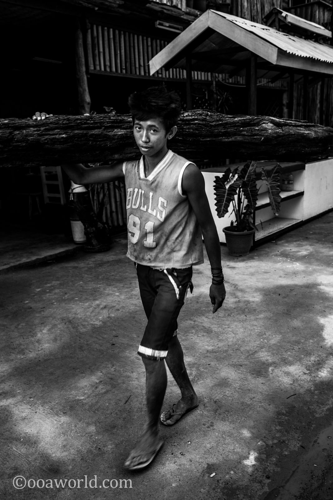 Log Carrier Palawan Philippines