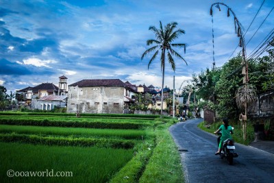 Bali Living Indonesia photo Ooaworld