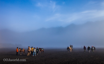 Photo Bromo Desert Walk Indonesia Ooaworld