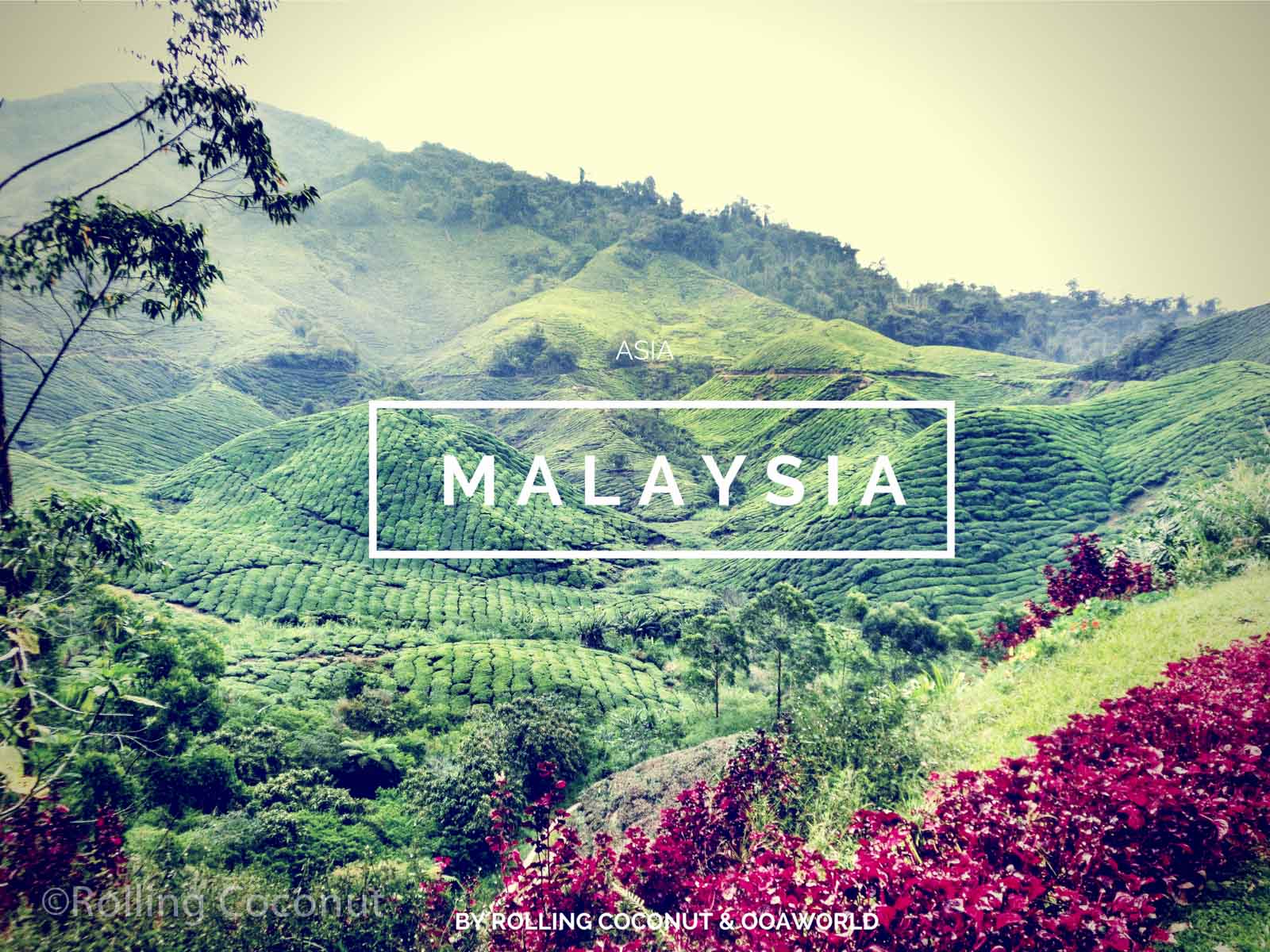 Malaysia Travel Ooaworld Rolling Coconut photo Ooaworld