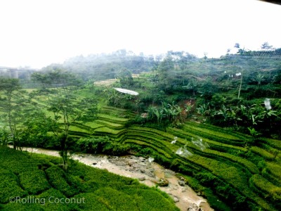 Train View Rice Terraces Bandung Jakarta Indonesia Photo Ooaworld