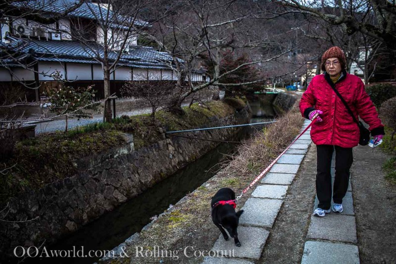 Philosopher Walk Kyoto Photo Ooaworld