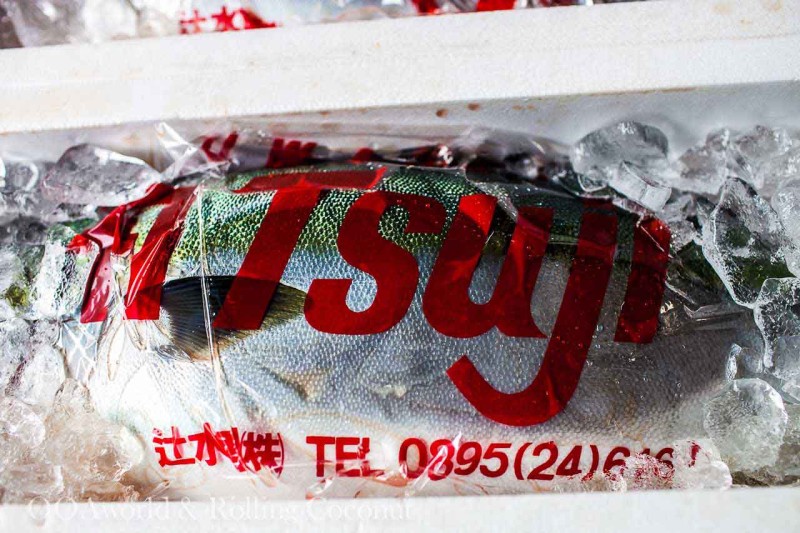 Things To Do in Tokyo on a Budget : Tsukiji Fish Market Tokyo Photo Ooaworld