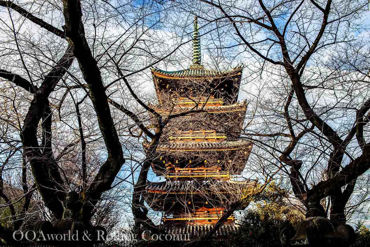 Ueno Park Pagoda Tokyo Photo Ooaworld