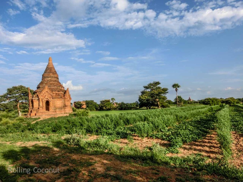 Stupa in Field Bagan Myanmar Ooaworld Rolling Coconut Photo Ooaworld