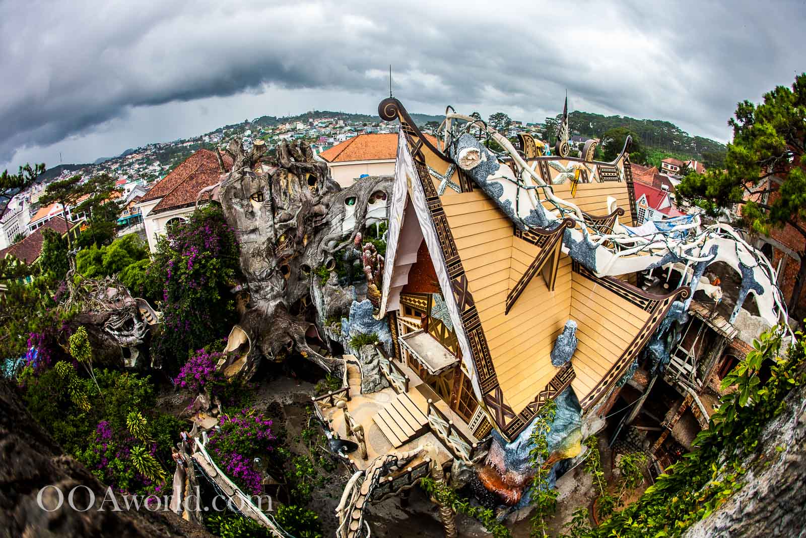 Nha Trang to Dalat Going not so Crazy in Dalat, Vietnam Travel