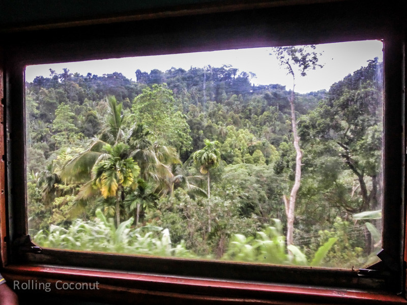Galle from Kandy Train View Forest ooaworld Rolling Coconut Photo Ooaworld