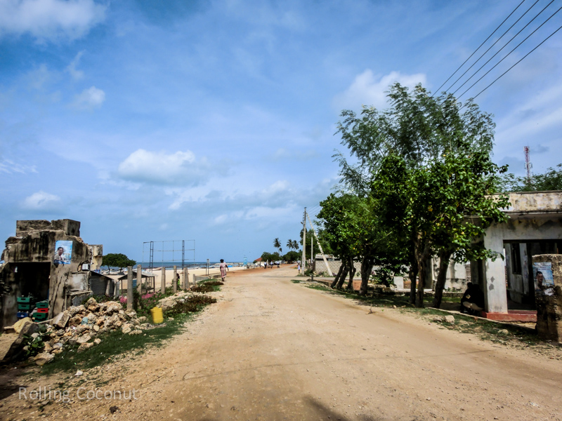 Road Point Pedro Things To Do in Jaffna Sri Lanka ooaworld Rolling Coconut Photo Ooaworld