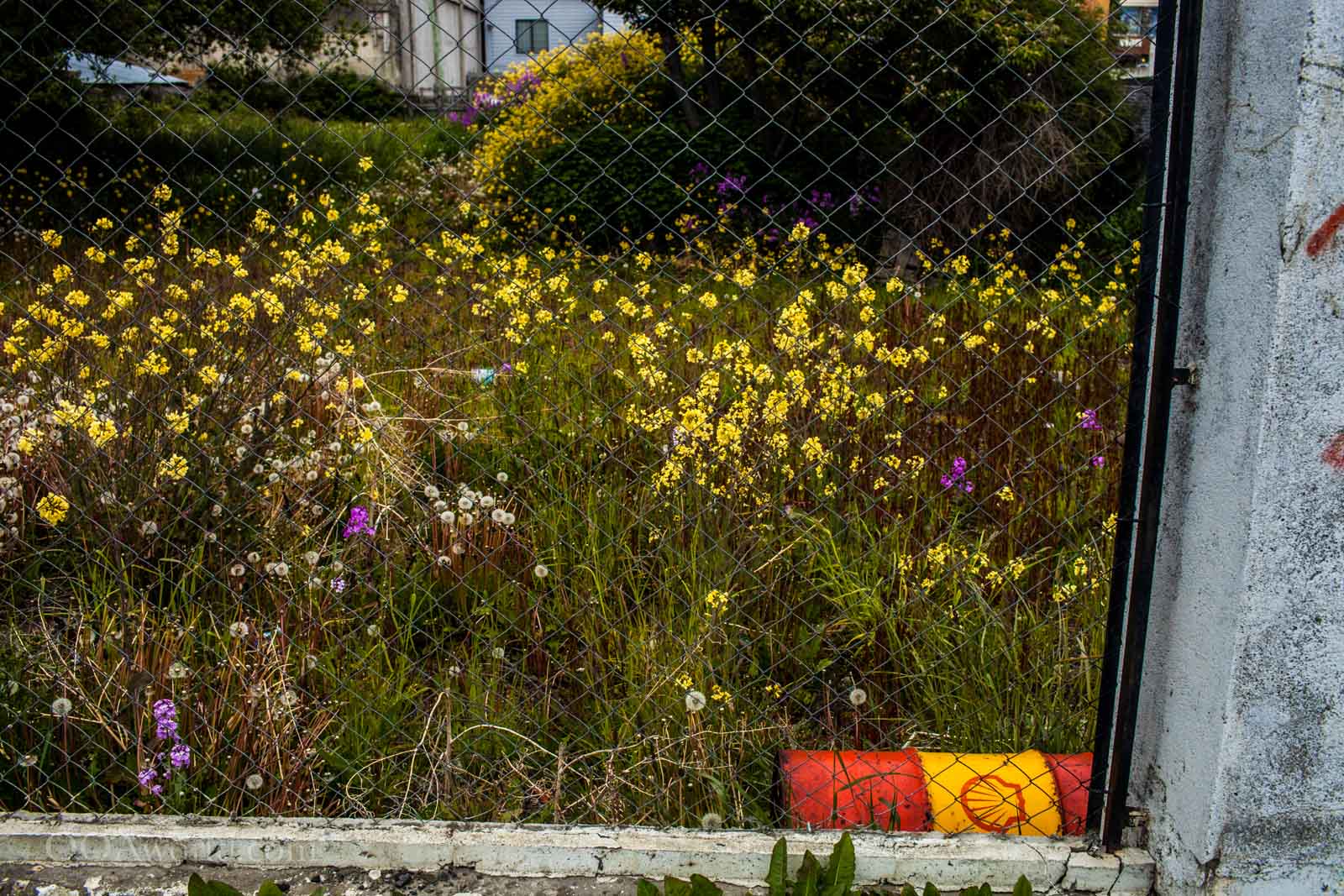 Ushuaia Oil Meets Nature Photo Ooaworld