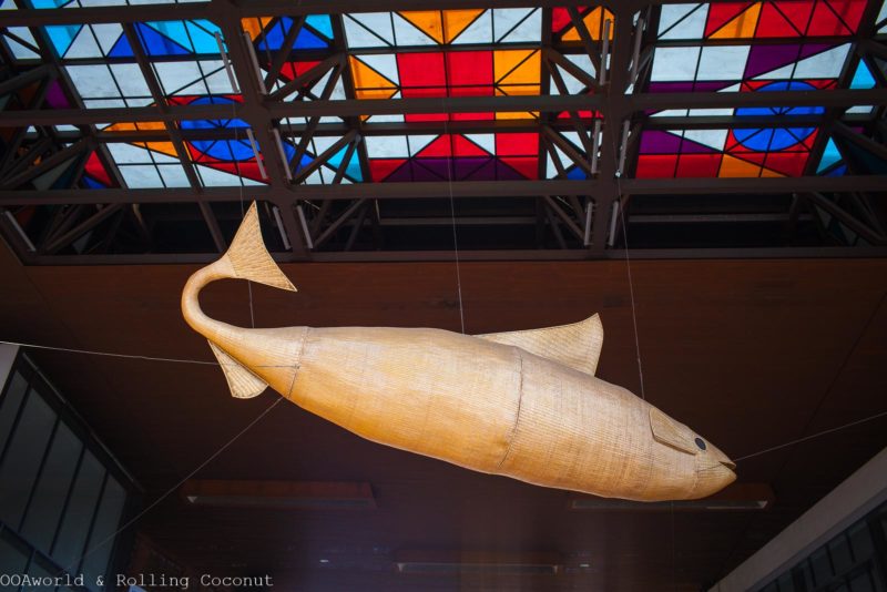 Santiago GAM Museum Fish Art OOAworld Rolling Coconut Travel