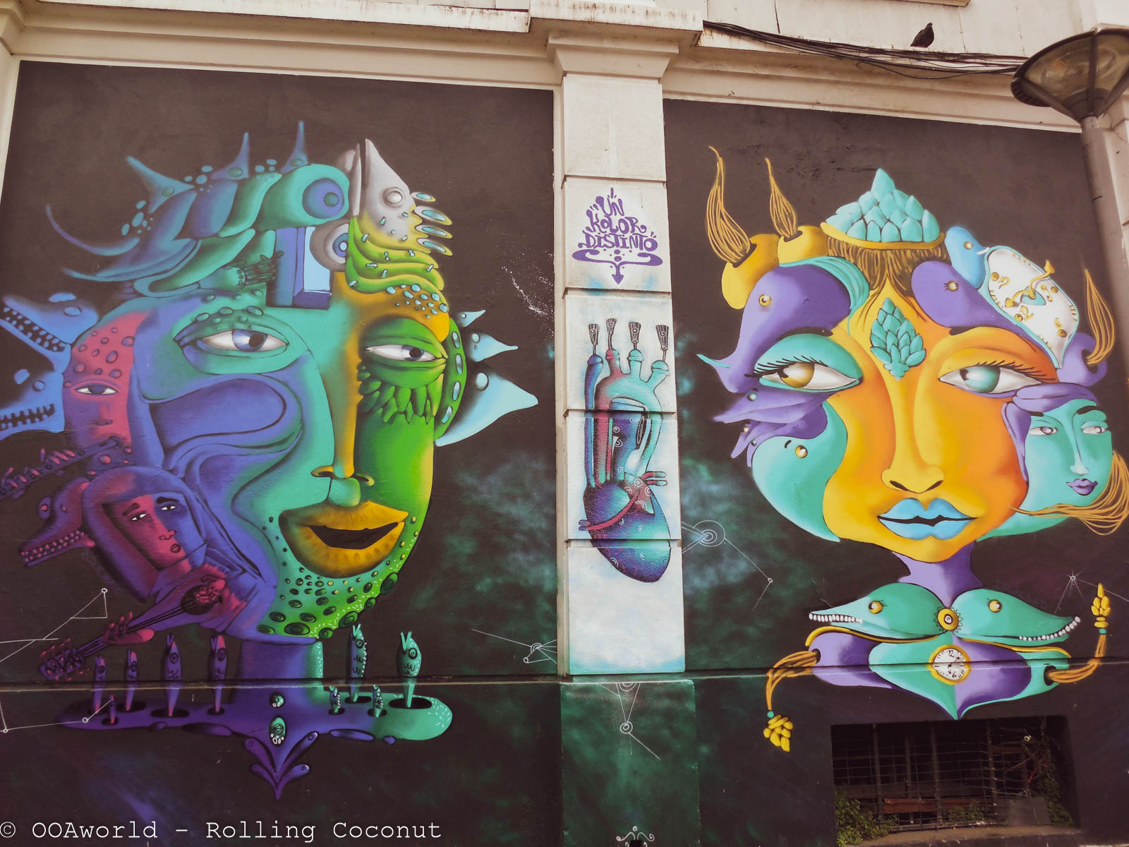 Valparaiso Street Art - OOAworld Rolling Coconut Photo