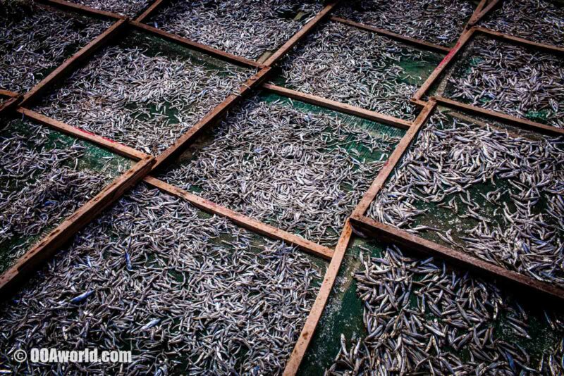 Mui Ne Vietnam Fish Nets Textures Photo Ooaworld