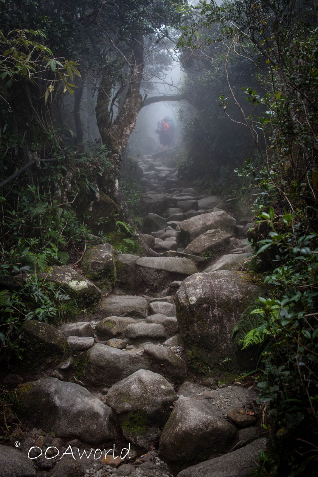 Malaysia Mount Kinabalu Climb Path Wet RocksPhoto Ooaworld