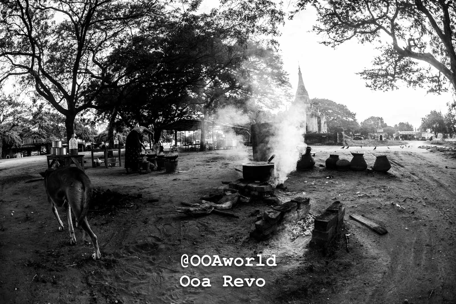 Bagan Landscapes Part I Bagan black and white village cooking scene under trees Photo OOAworld