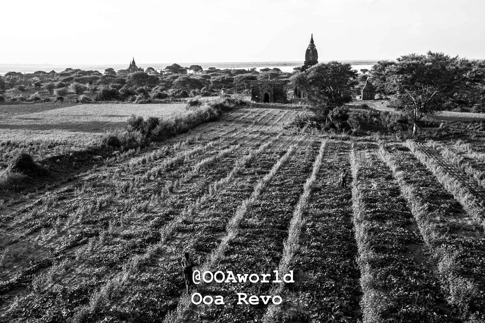 aerial view of ancient temples and lush fields in bagan myanmar photo ooaworld