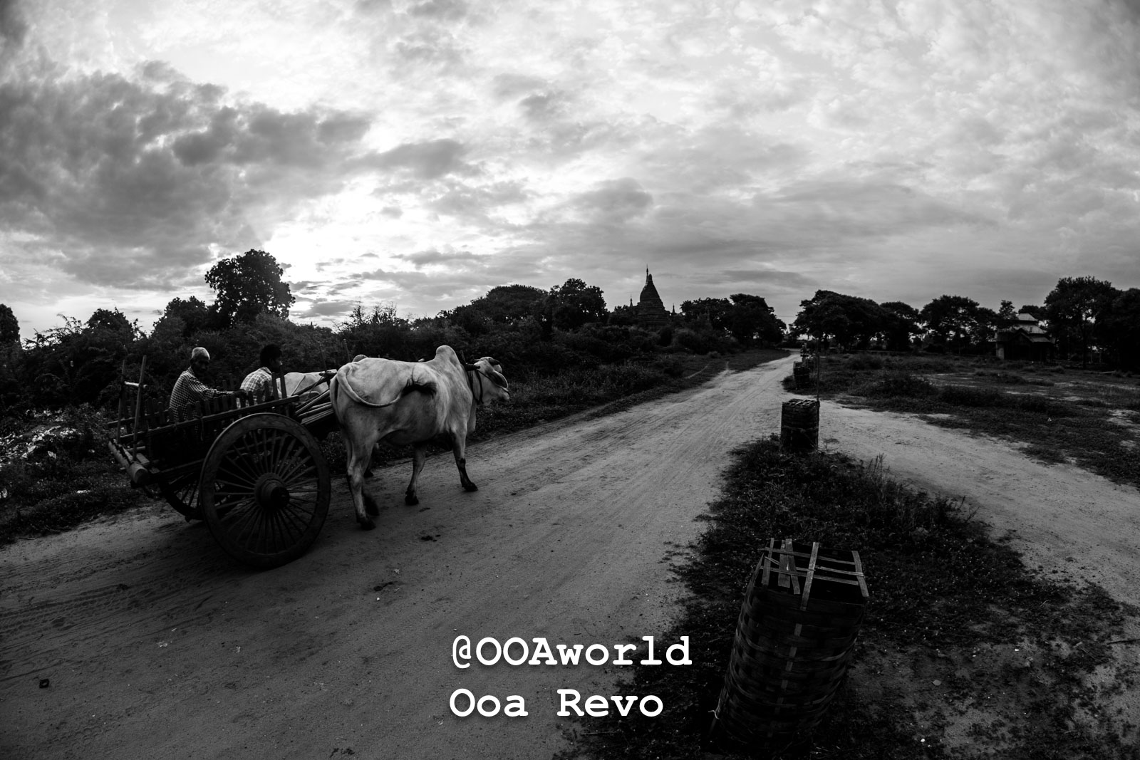 Bagan LandscapesPart II Bagan Ox cart on rural road at sunset Photo OOAworld