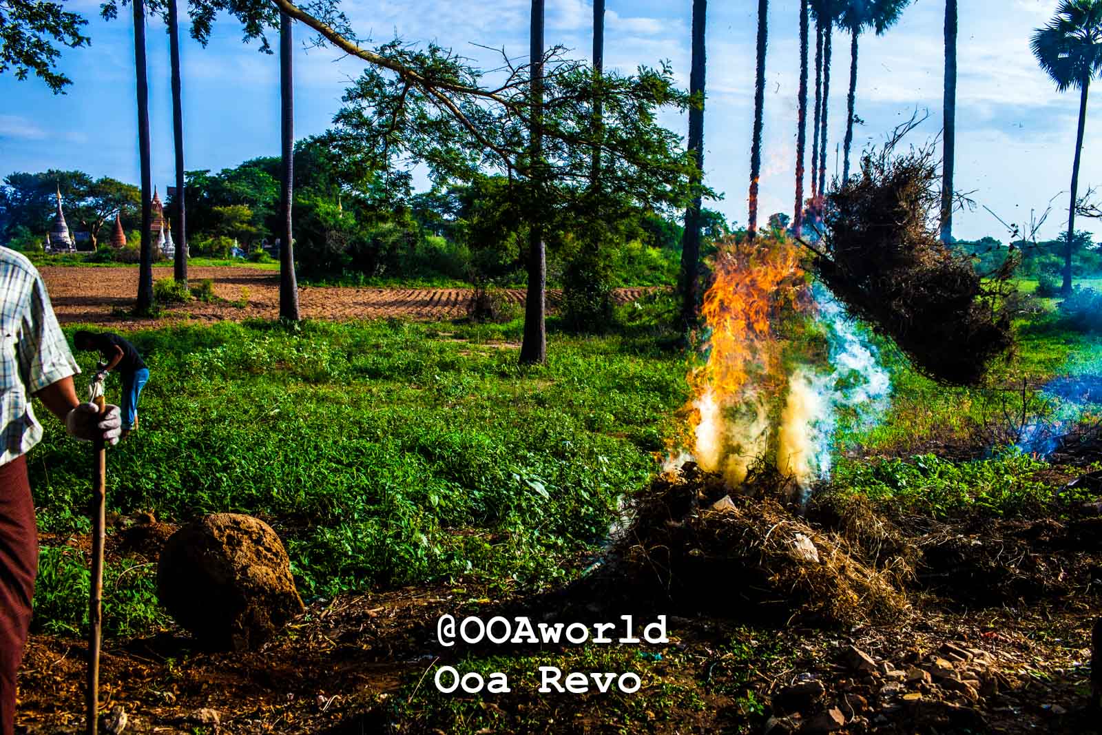 Bagan LandscapesPart II Bagan field burning agricultural landscape Myanmar Photo OOAworld