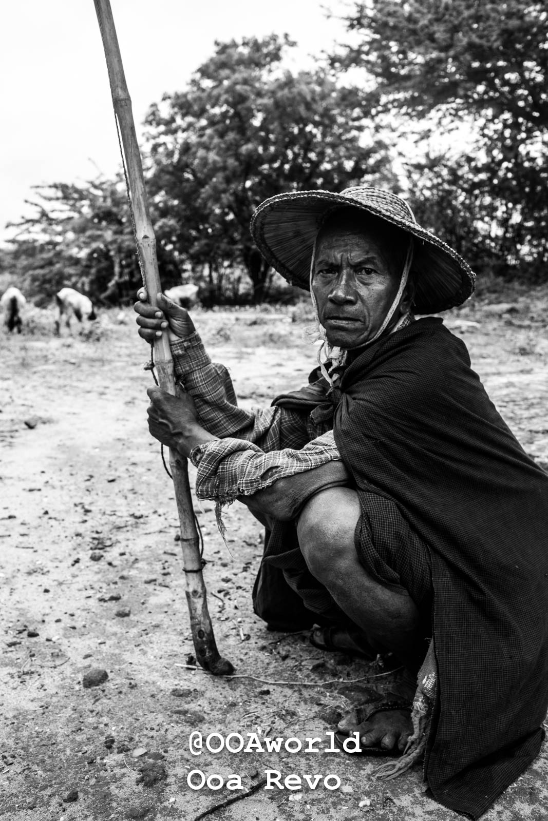 Bagan Portraits Bagan black and white photo of a farmer with a traditional hat and staff Photo OOAworld