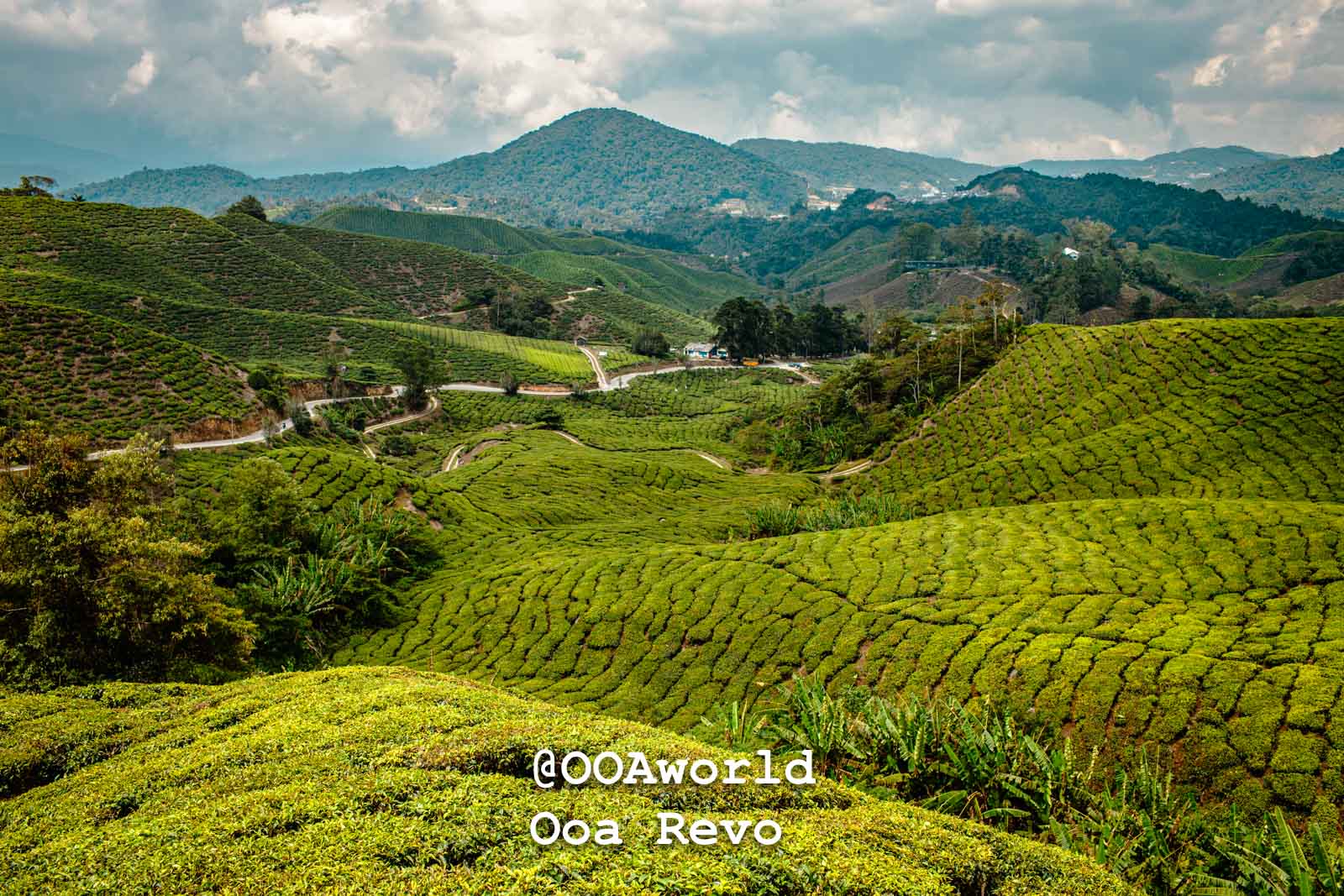 Cameron Highlands Nature Cameron Highlands lush green tea plantations in Malaysia with winding road and mountains Photo OOAworld
