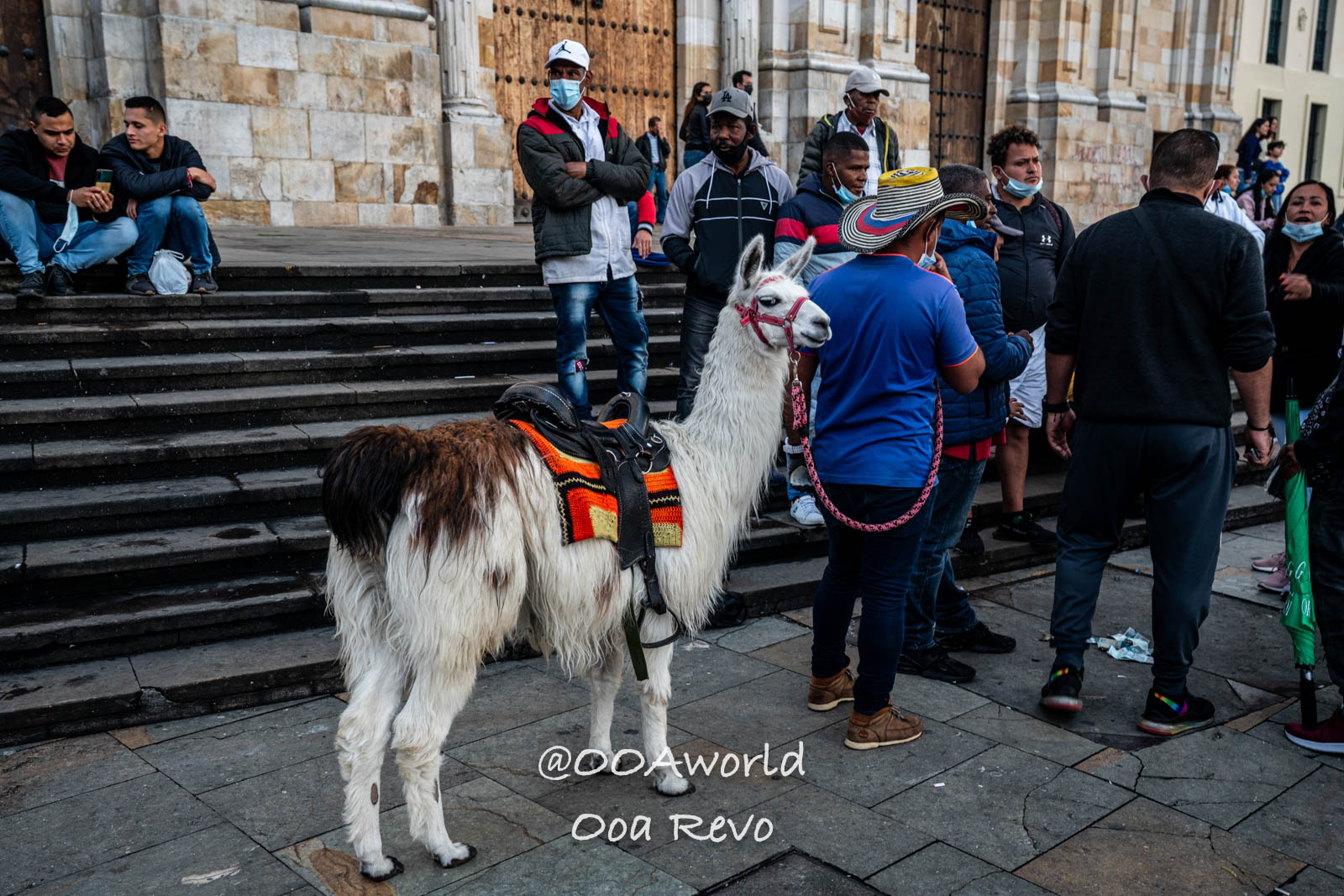 La Candelaria Bogota llama crowd city square colorful saddle Photo OOAworld