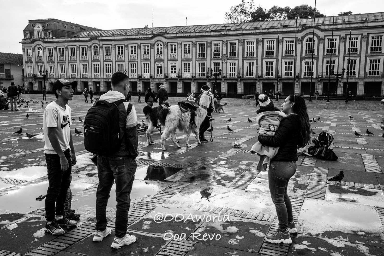 La Candelaria Bogota black and white city square people llama interaction Photo OOAworld