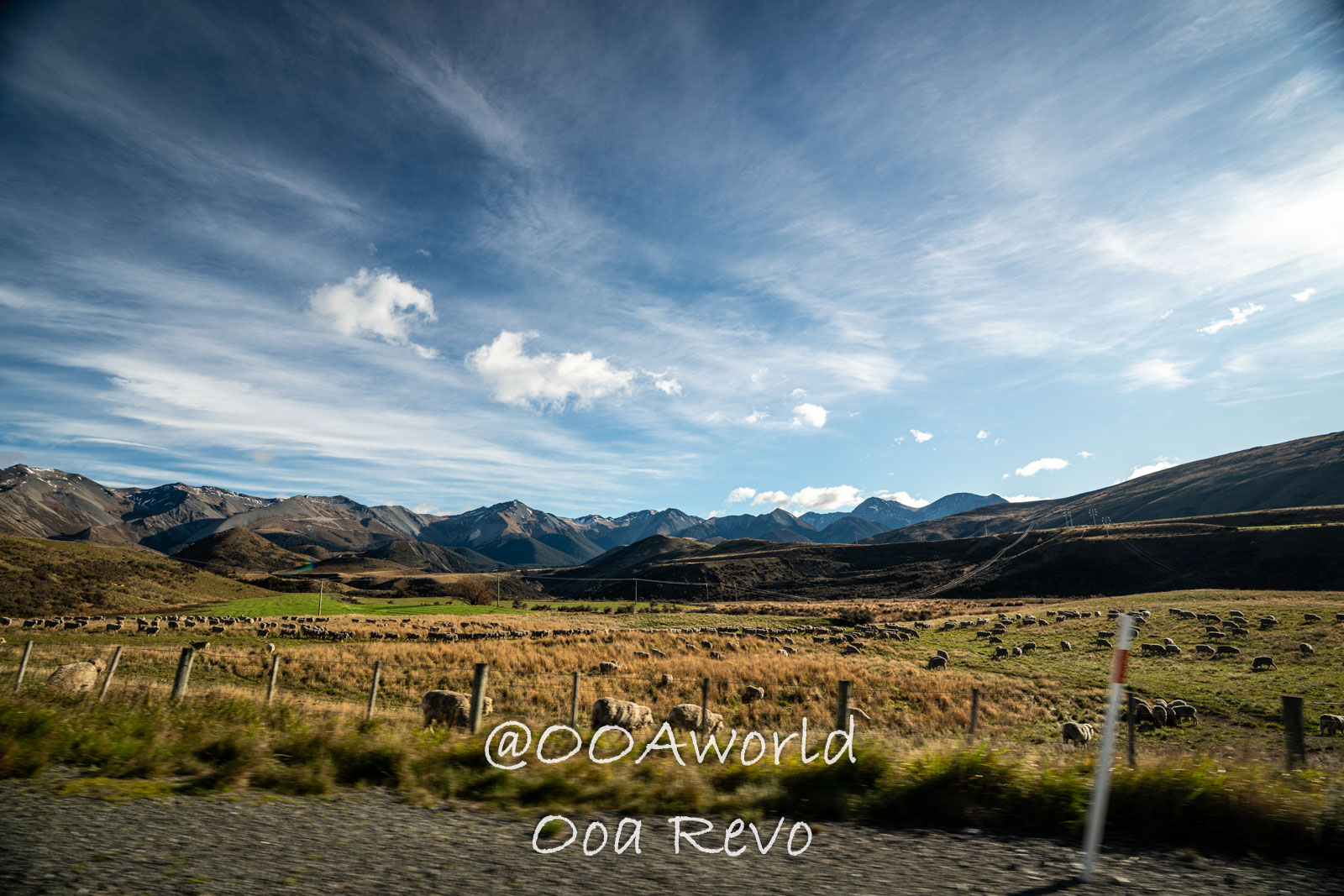 panoramic view of New Zealand mountains and fields with grazing sheep Photo OOAworld