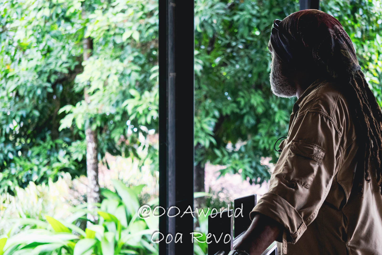 Daintree Forest Nature Landscapes Australia man with dreadlocks looking out at lush greenery Photo OOAworld