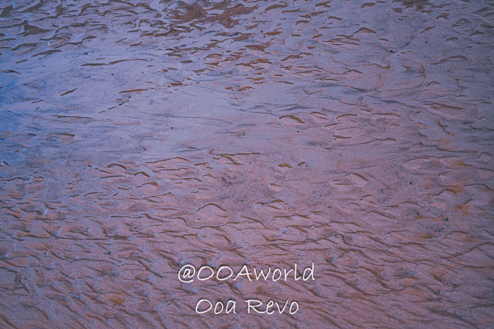 Daintree Forest Nature Landscapes Australia close up of wet sand texture with purple hues Photo OOAworld