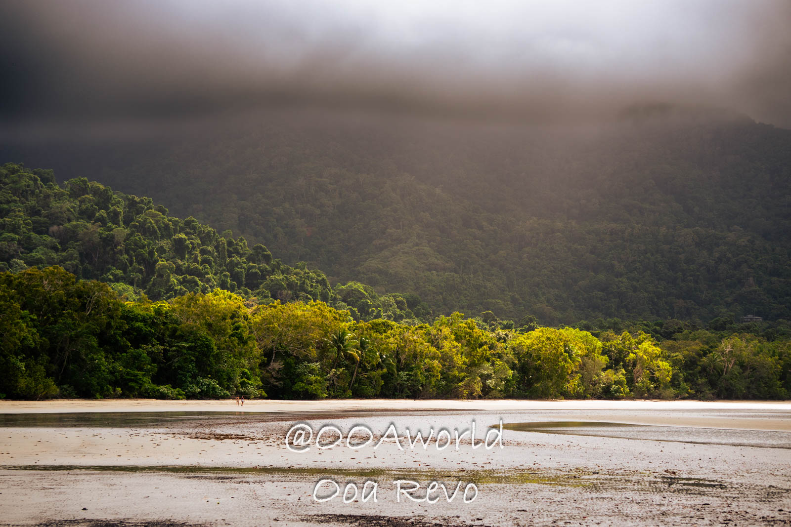 Daintree Forest Nature Landscapes Australia tropical beach with lush green forest and dark clouds Photo OOAworld