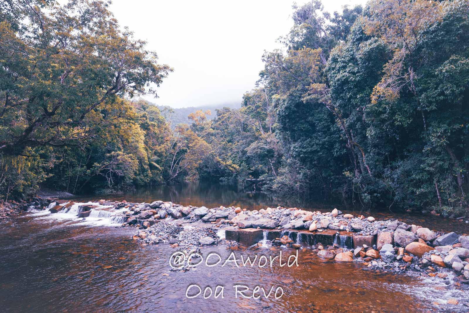 Daintree Forest Nature Landscapes Australia Tranquil river with rocky shore and lush forest backdrop Photo OOAworld