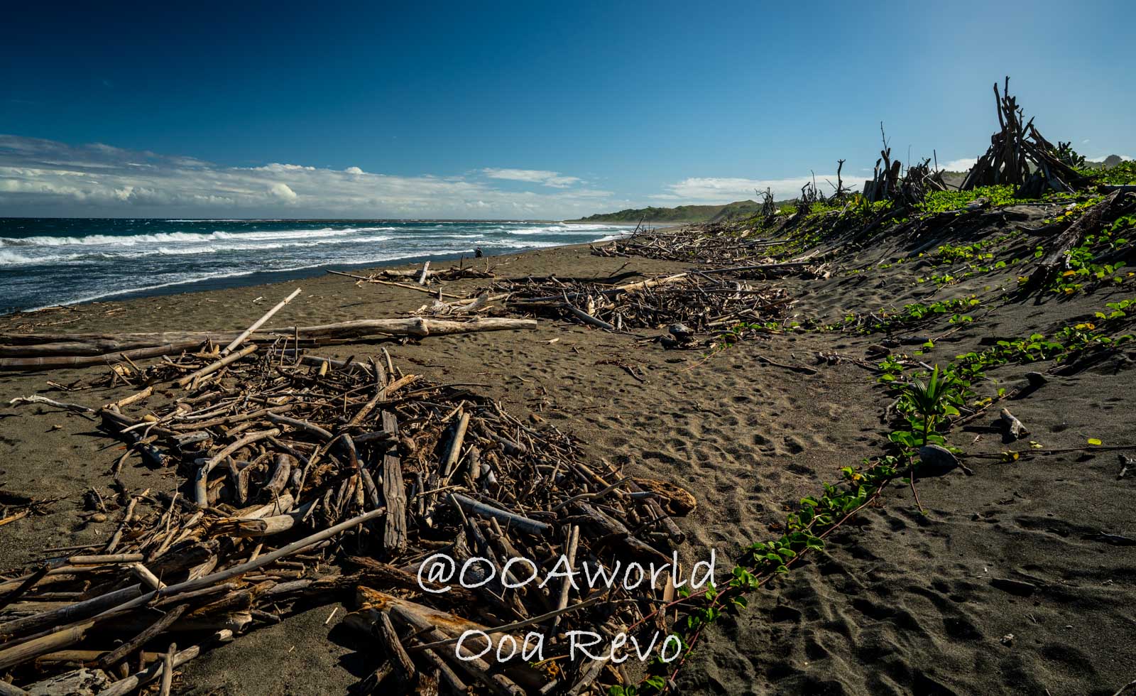 Nadi Suva Landscapes Textures Fiji driftwood on remote beach with blue sky Photo OOAworld