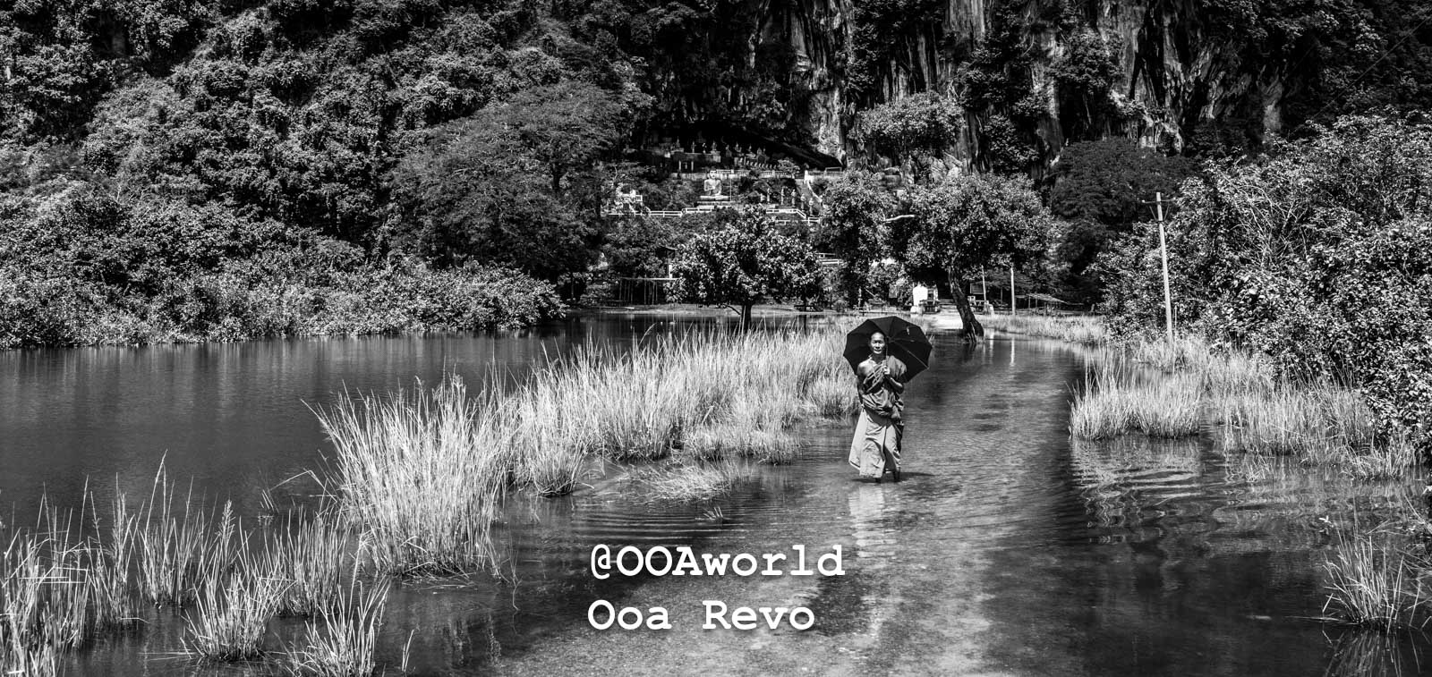 Hpa An People and Portraits Hpa An monk walking through water with umbrella in lush forest Photo OOAworld