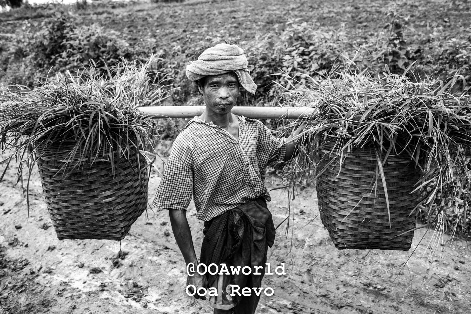 Kalaw Portraits Kalaw Htee Thein Man carrying baskets in rural landscape Photo OOAworld