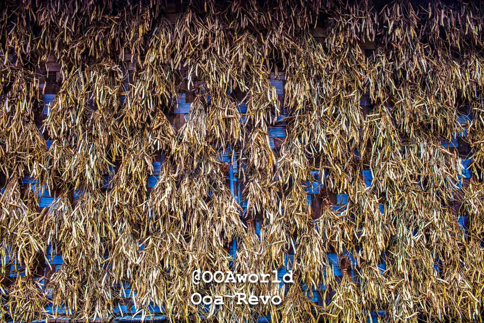 Kalaw Landscapes and Textures Kalaw Htee Thein traditional hanging corn husks Photo OOAworld