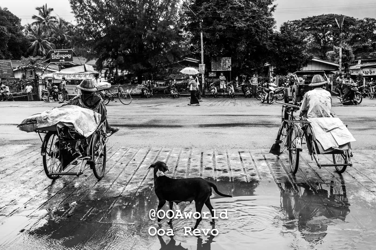 black and white street scene with cyclists and dog in Myanmar Photo OOAworld