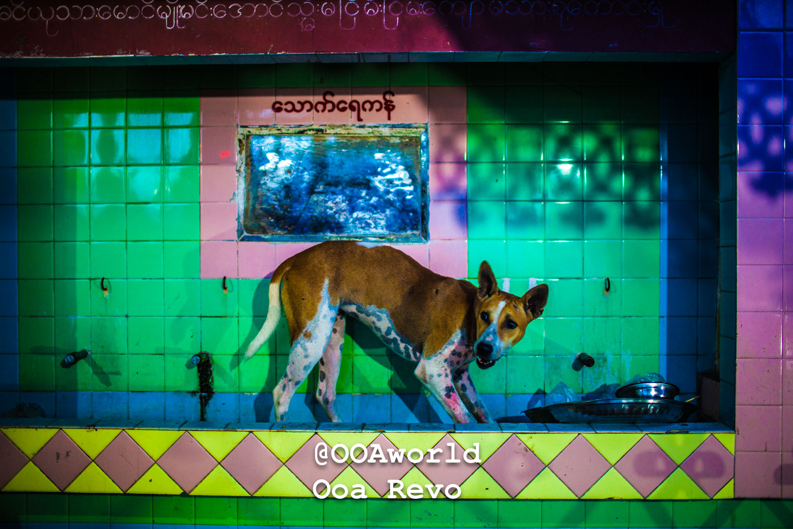 colorful street scene with dog in Mandalay Photo OOAworld colorful street scene with dog in Mandalay Photo OOAworld