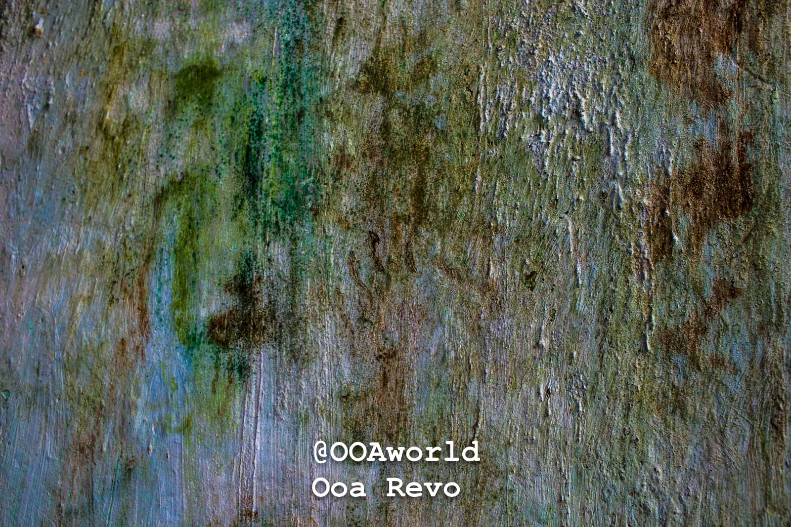 Mawlamyine Myanmar weathered wall texture abstract Photo OOAworld