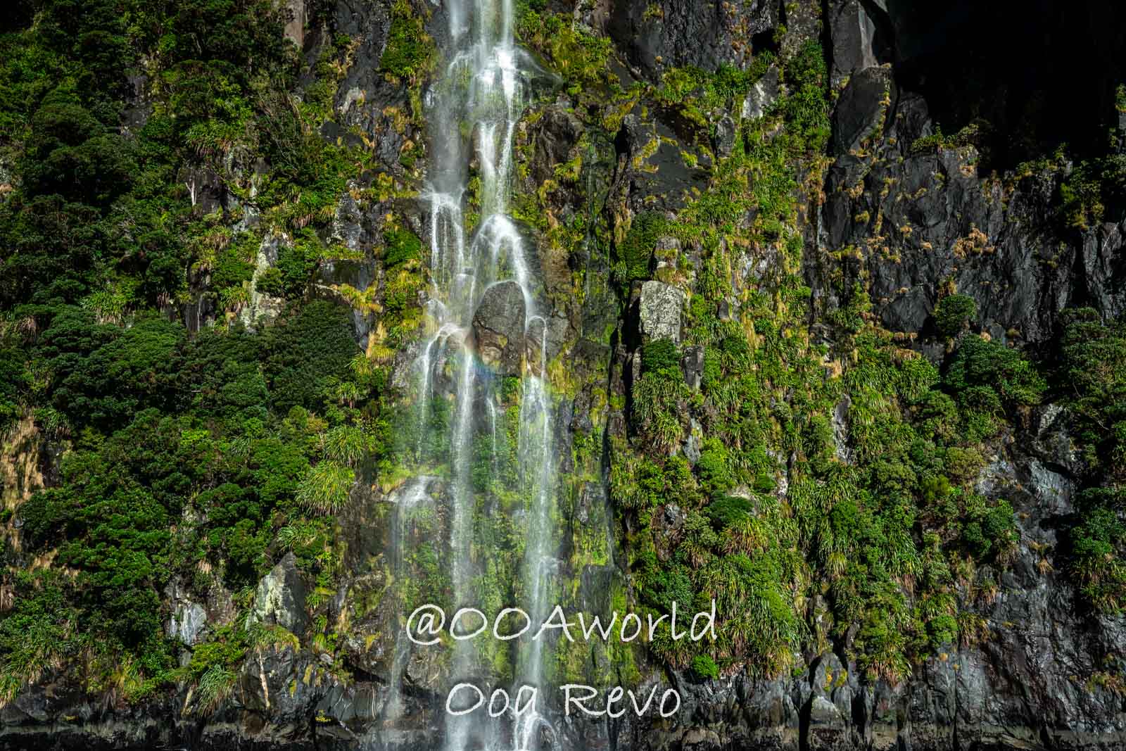 Milford Sound Fjord New Zealand Scenic waterfall cascading down lush cliff Photo OOAworld