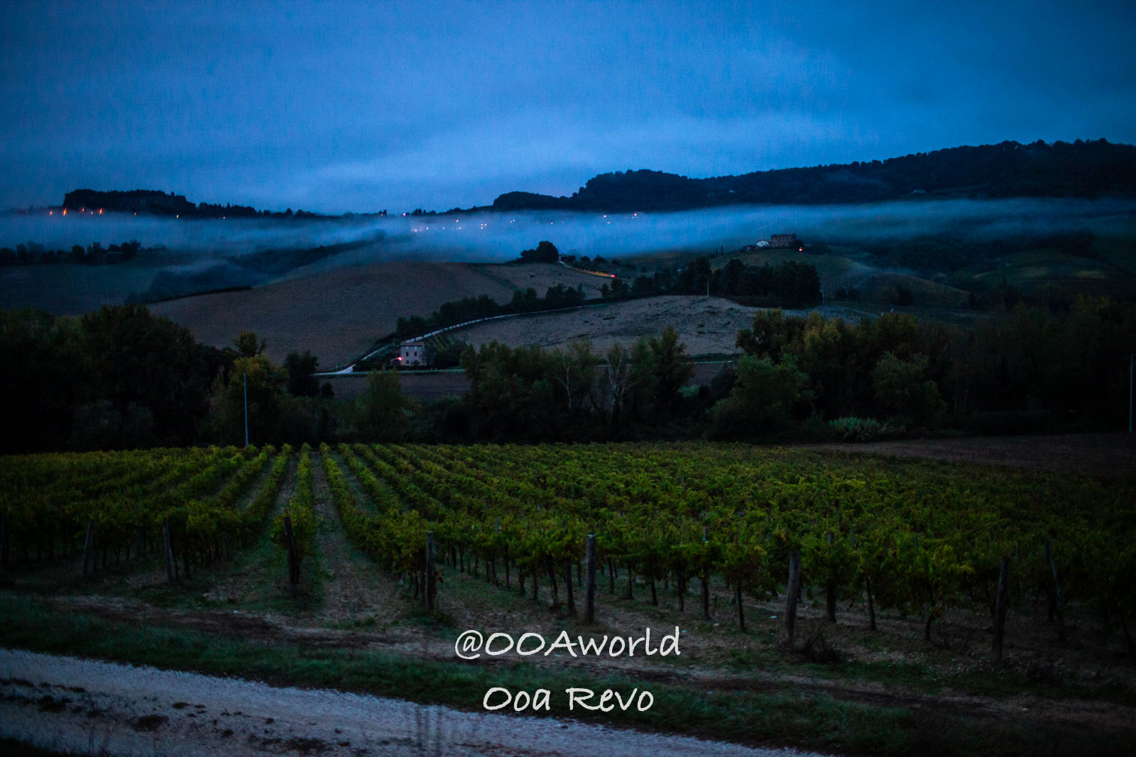 Orvieto Italy Misty Vineyard Dusk Landscape Photo OOAworld Orvieto Italy Misty vineyard landscape at dusk in rolling hills Photo OOAworld