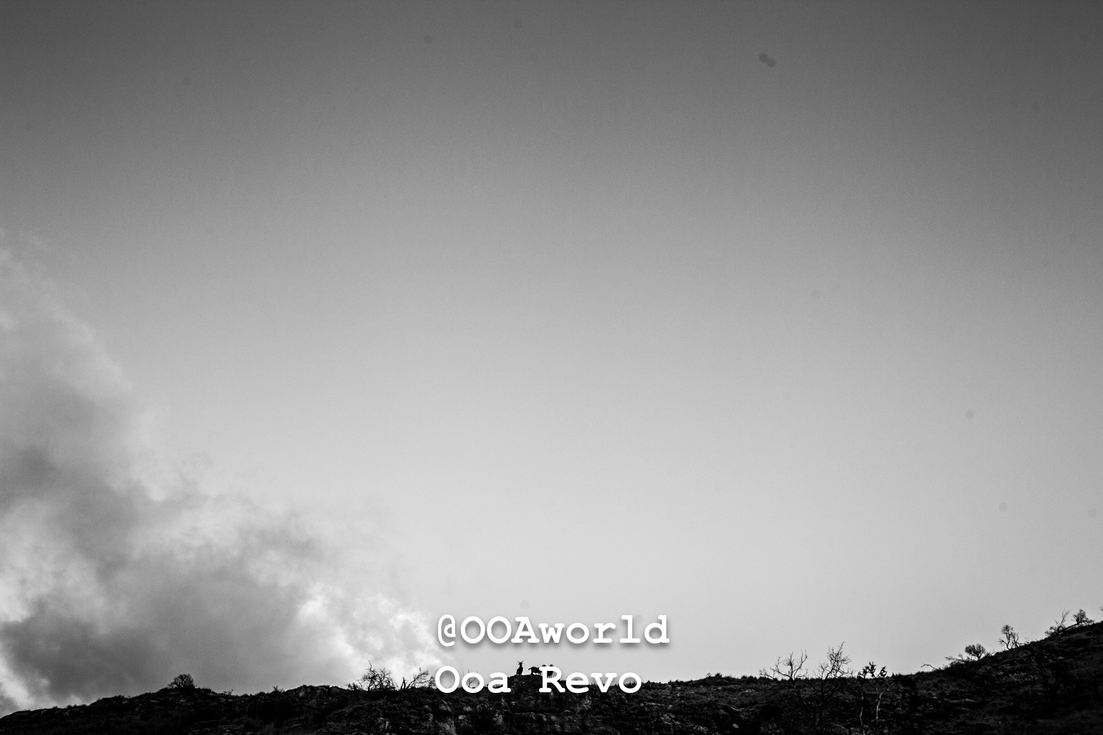 Puerto Rio Tranquilo People and Landscapes Puerto Rio Tranquilo OOAworld black and white mountain landscape Photo OOAworld
