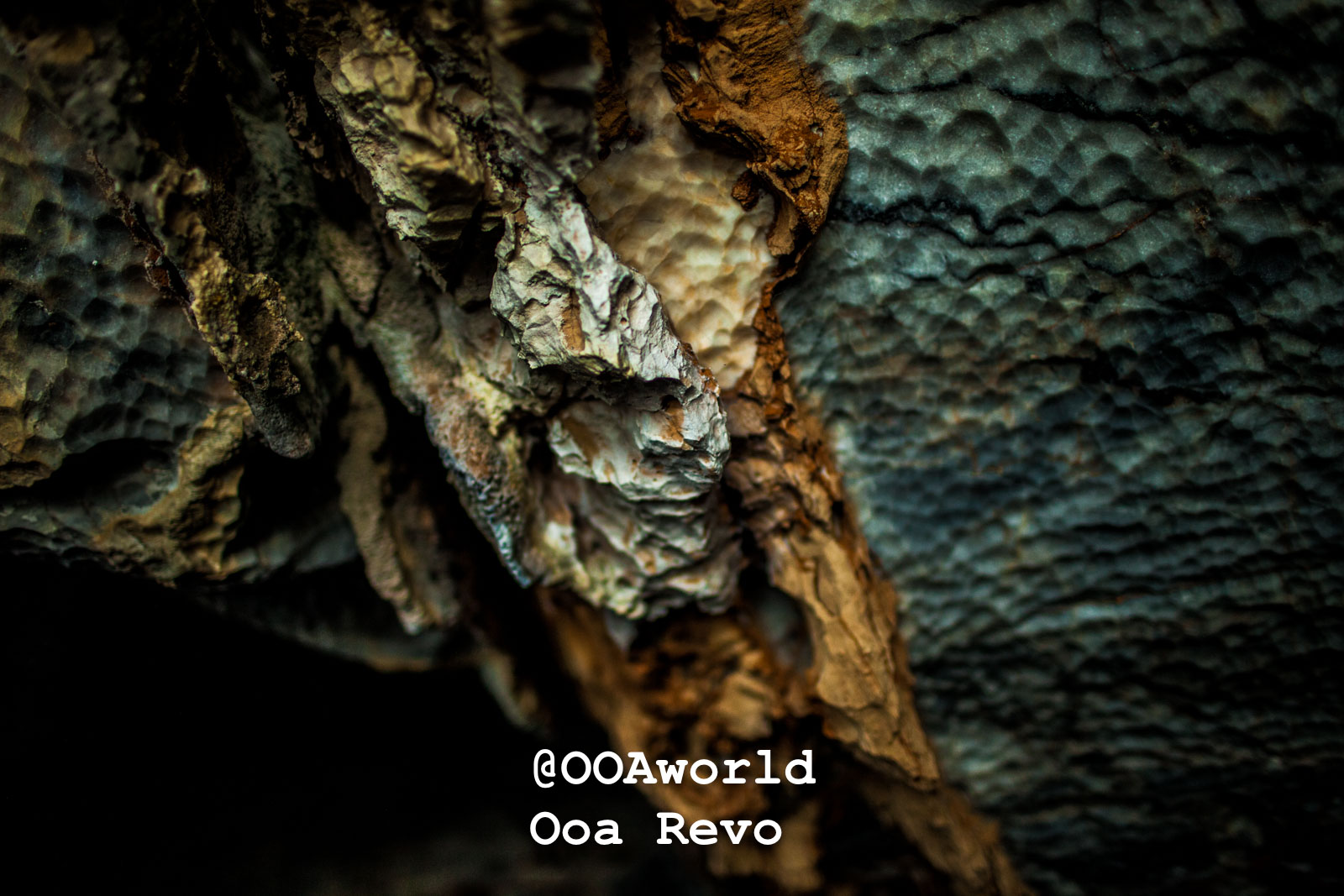 Puerto Rio Tranquilo Textures 1 Puerto Rio Tranquilo OOAworld textured bark closeup abstract Photo OOAworld